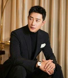 宁夏籍明星,宁夏籍明星闪耀娱乐圈  第2张