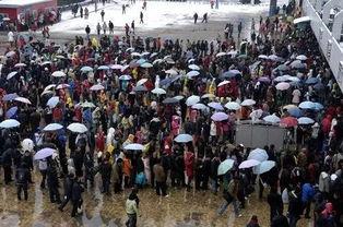 春运搞笑语句,笑料百出,年度搞笑语录大盘点 第3张 春运搞笑语句,笑料百出,年度搞笑语录大盘点 第3张