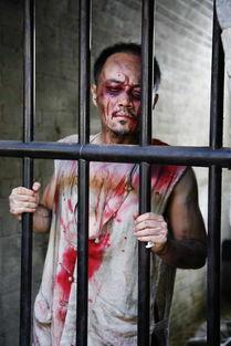 陈楚翰 照片,光影中的魅力演绎 第3张 陈楚翰 照片,光影中的魅力演绎 第3张