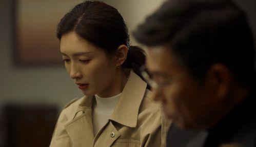 双谍王演员,巅峰对决，暗战风云再起  第2张