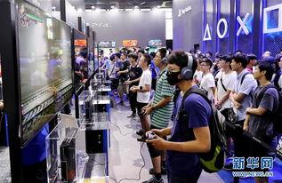 新生娱乐国际,引领潮流的娱乐新势力